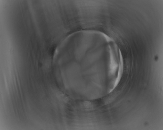 X0000094210230200711241706