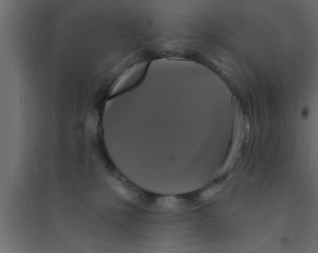 X0000094210231200711241706