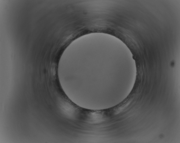 X0000094210232200711241706