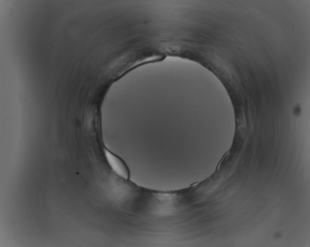 X0000094210233200711241706
