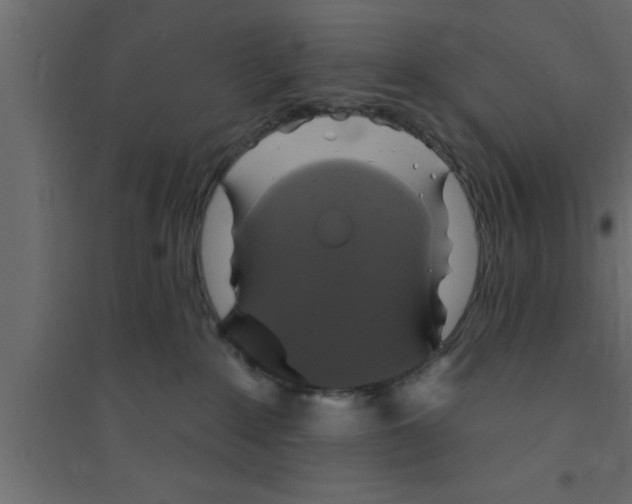 X0000094210235200711241706