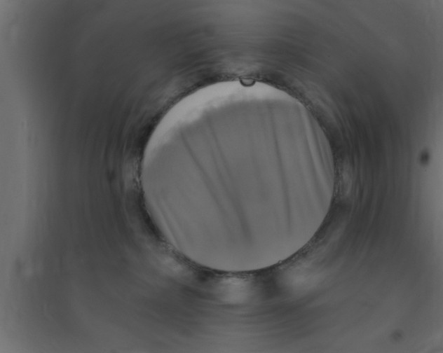 X0000094210236200711241706