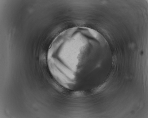 X0000094210238200711241706