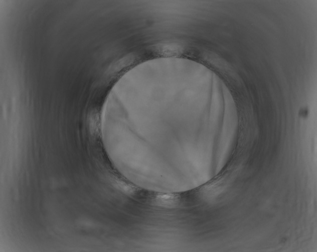 X0000094210240200711241706