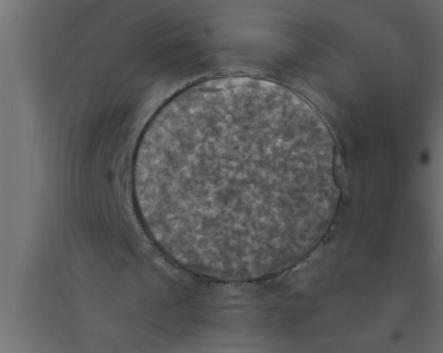 X0000094210241200711241706