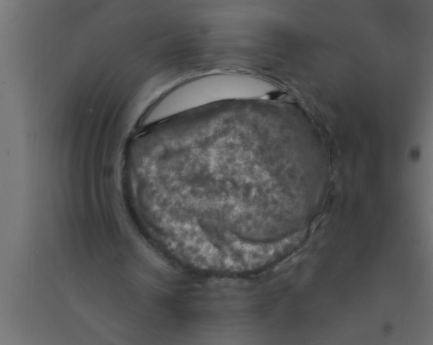 X0000094210242200711241706