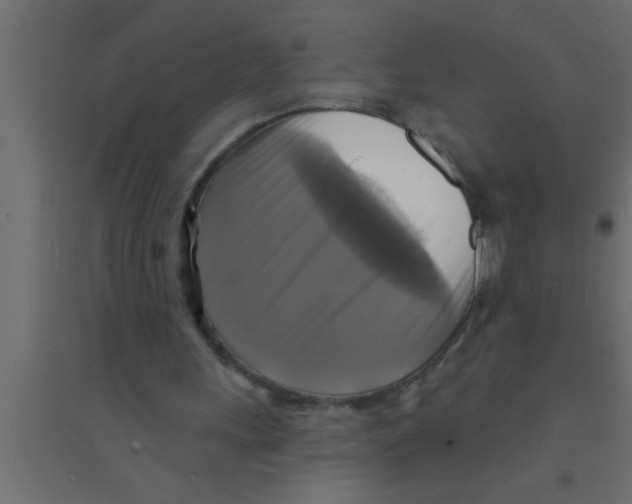 X0000094210243200711241706