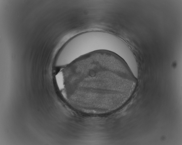 X0000094210244200711241706