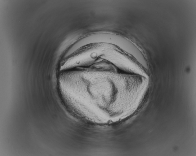 X0000094210245200711241706