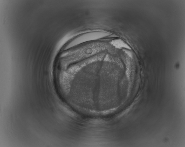 X0000094210246200711241706
