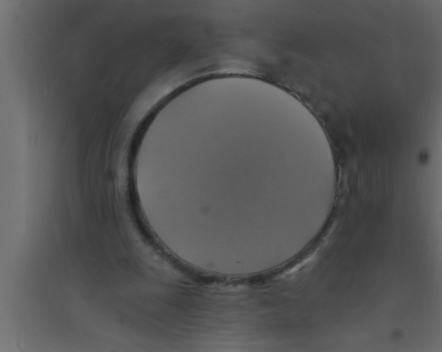 X0000094210247200711241706