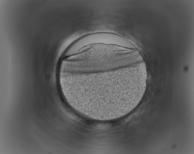X0000094210248200711241706