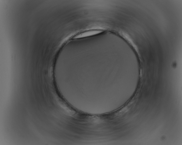 X0000094210249200711241706