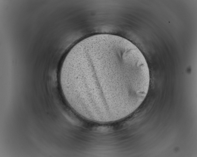 X0000094210251200711241706