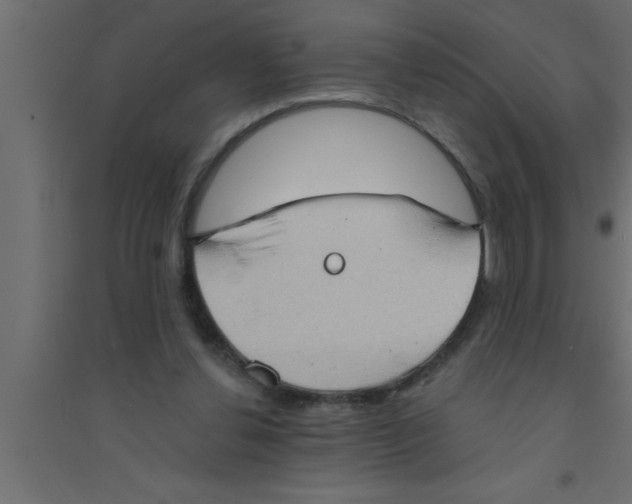 X0000094210252200711241706