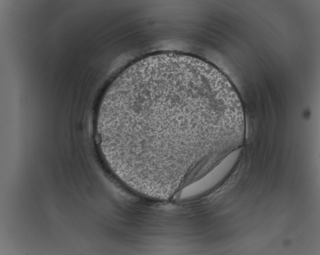 X0000094210253200711241706