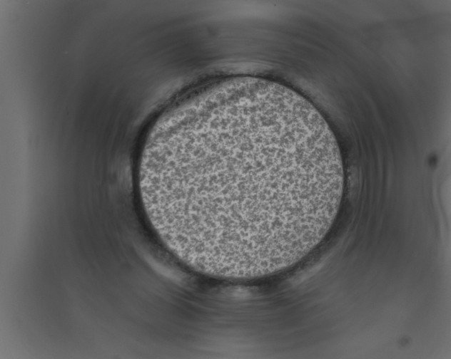 X0000094210254200711241706