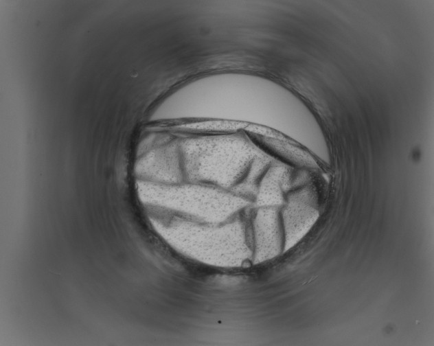 X0000094210255200711241706