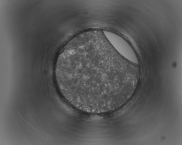 X0000094210257200711241706