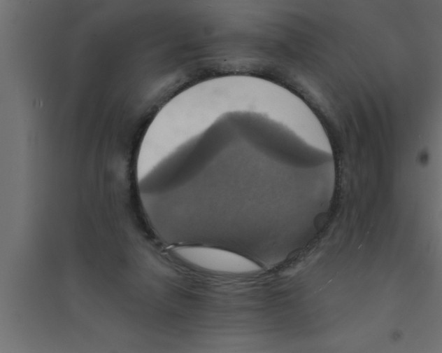 X0000094210258200711241706