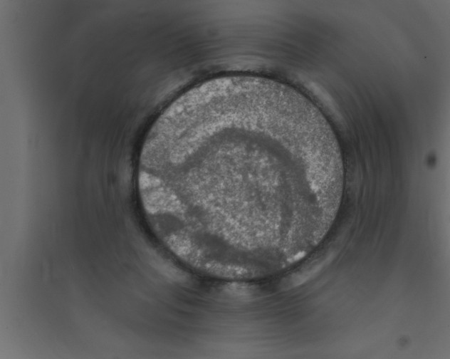 X0000094210261200711241706