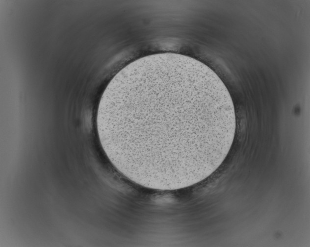 X0000094210262200711241706