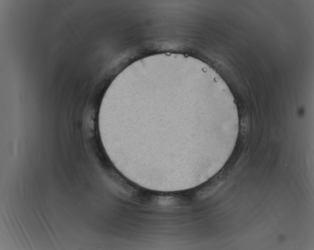 X0000094210264200711241706