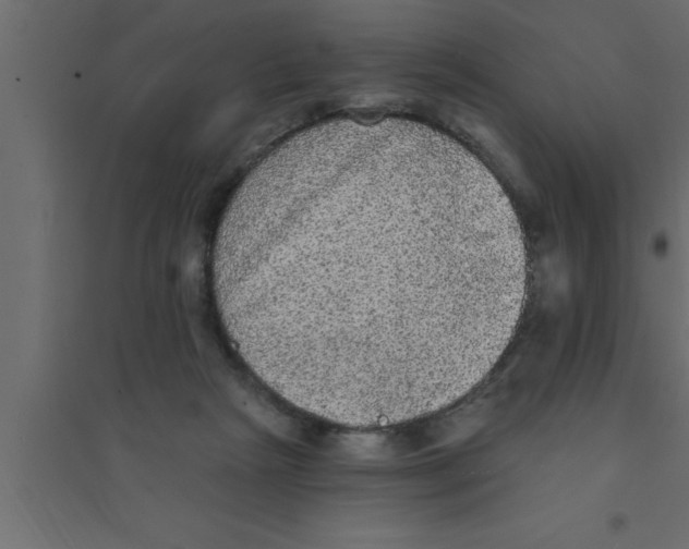 X0000094210265200711241706