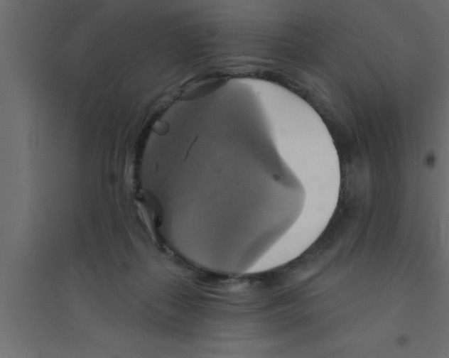 X0000094210267200711241706