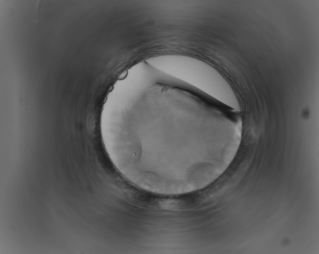 X0000094210268200711241706