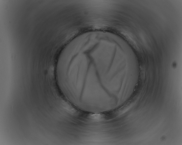 X0000094210269200711241706