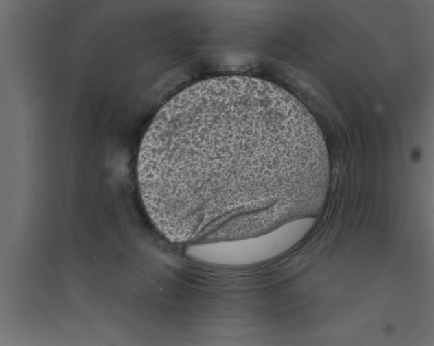 X0000094210270200711241706