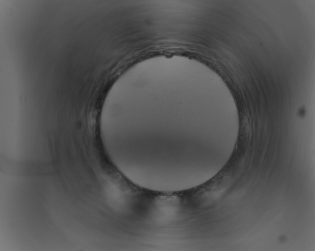 X0000094210271200711241706