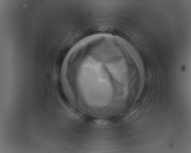X0000094210272200711241706