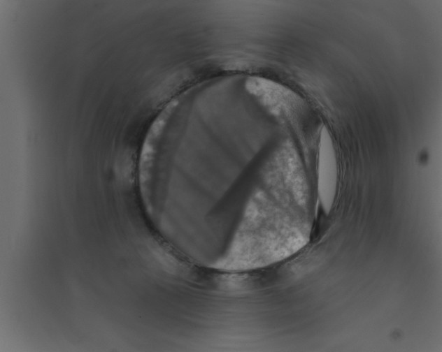 X0000094210273200711241706