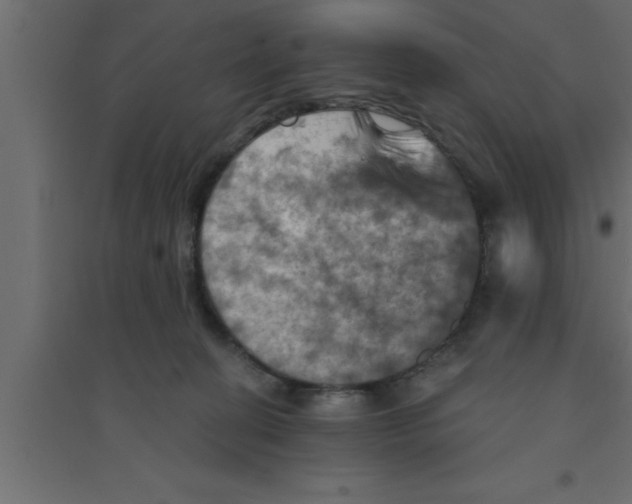 X0000094210274200711241706