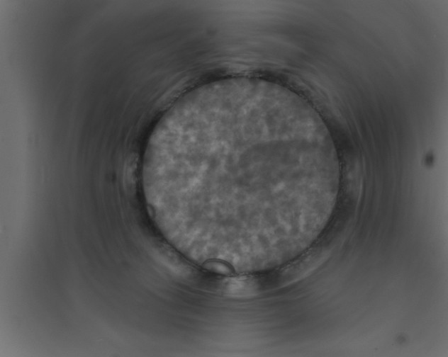 X0000094210275200711241706