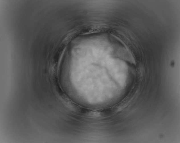 X0000094210276200711241706