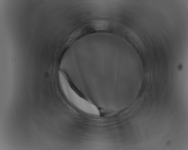 X0000094210277200711241706
