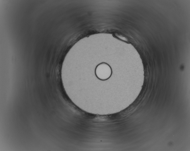 X0000094210280200711241706