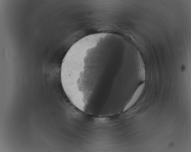 X0000094210281200711241706