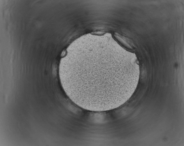 X0000094210282200711241706