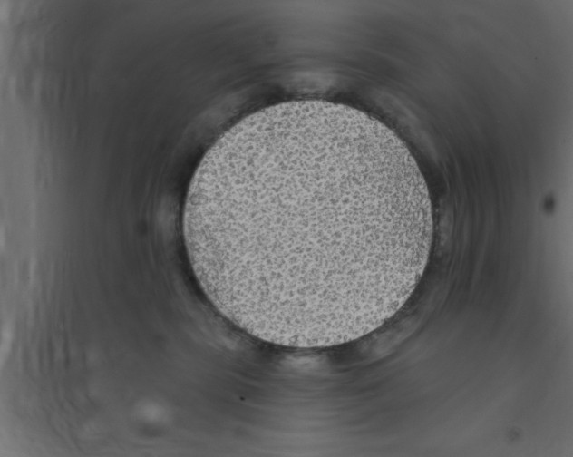 X0000094210283200711241706