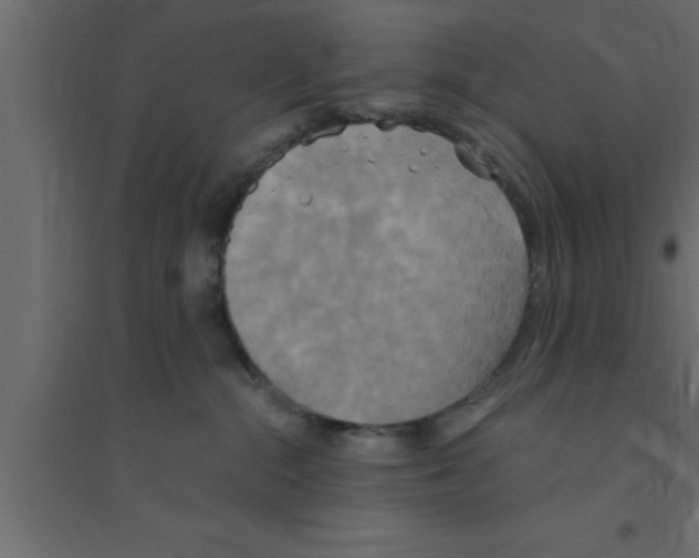 X0000094210284200711241706