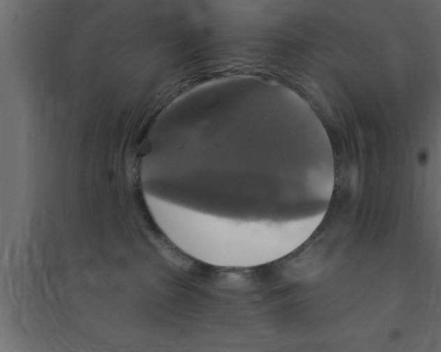 X0000094210285200711241706