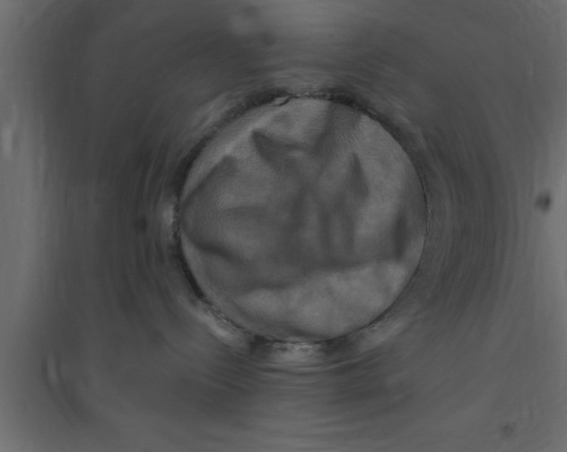 X0000094210288200711241706