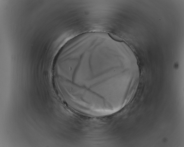 X0000094210290200711241706