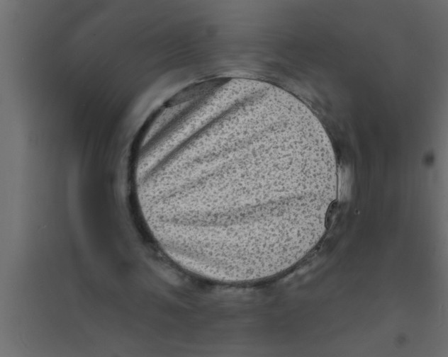 X0000094210291200711241706