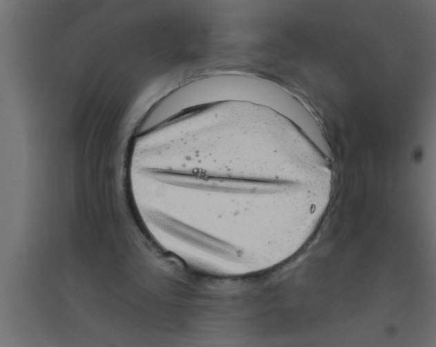 X0000094210293200711241706