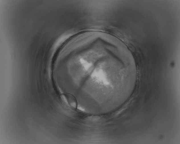 X0000094210294200711241706